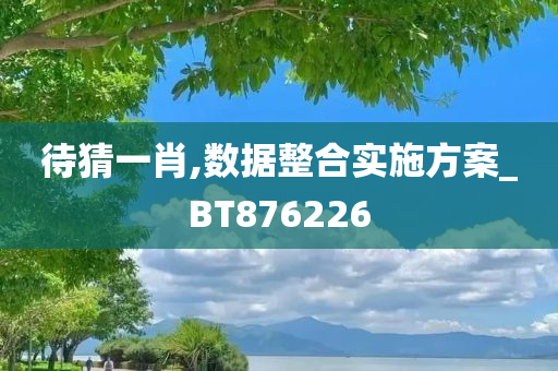 待猜一肖,数据整合实施方案_BT876226