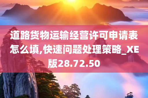 道路货物运输经营许可申请表怎么填,快速问题处理策略_XE版28.72.50