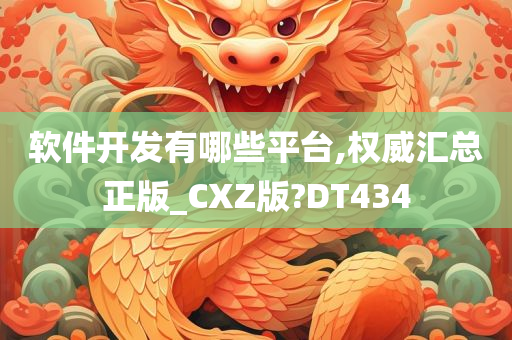 软件开发有哪些平台,权威汇总正版_CXZ版?DT434