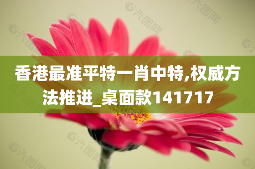 香港最准平特一肖中特,权威方法推进_桌面款141717