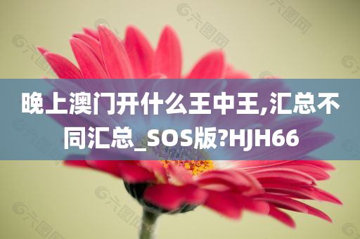 晚上澳门开什么王中王,汇总不同汇总_SOS版?HJH66