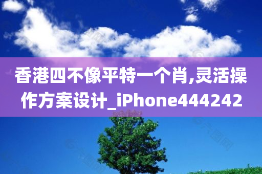 香港四不像平特一个肖,灵活操作方案设计_iPhone444242