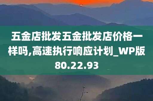 五金店批发五金批发店价格一样吗,高速执行响应计划_WP版80.22.93