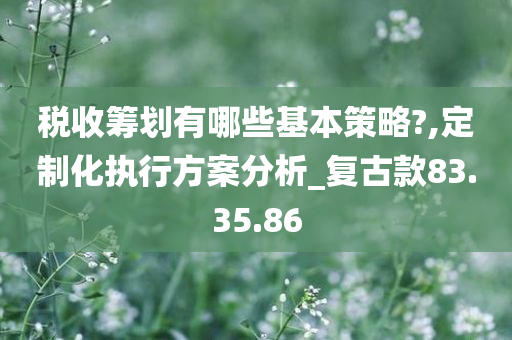 税收筹划有哪些基本策略?,定制化执行方案分析_复古款83.35.86