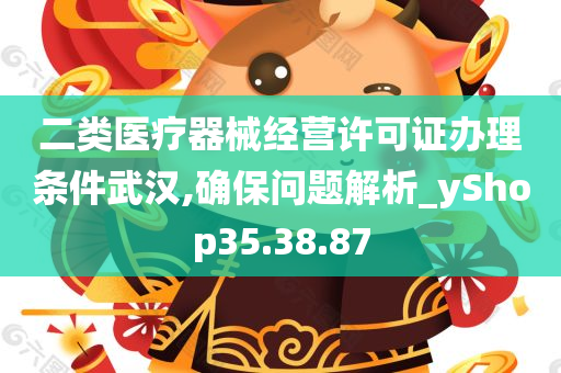 二类医疗器械经营许可证办理条件武汉,确保问题解析_yShop35.38.87