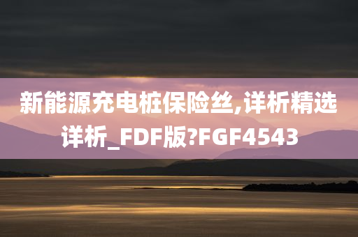 新能源充电桩保险丝,详析精选详析_FDF版?FGF4543