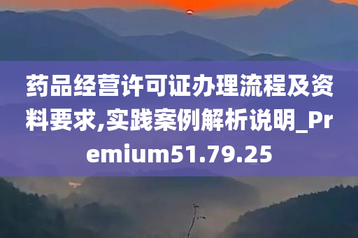 药品经营许可证办理流程及资料要求,实践案例解析说明_Premium51.79.25