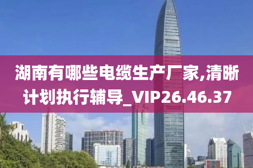 湖南有哪些电缆生产厂家,清晰计划执行辅导_VIP26.46.37