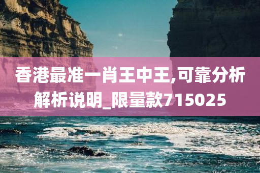 香港最准一肖王中王,可靠分析解析说明_限量款715025