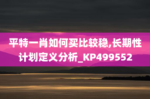 平特一肖如何买比较稳,长期性计划定义分析_KP499552