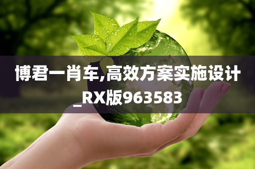 博君一肖车,高效方案实施设计_RX版963583