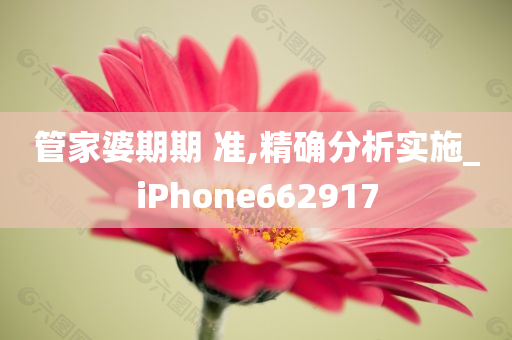 管家婆期期 准,精确分析实施_iPhone662917