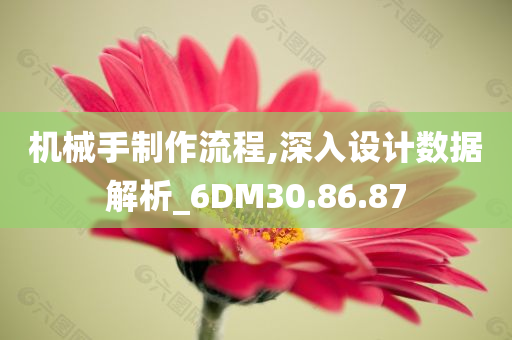 机械手制作流程,深入设计数据解析_6DM30.86.87