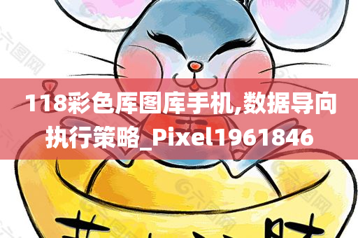 118彩色厍图库手机,数据导向执行策略_Pixel1961846