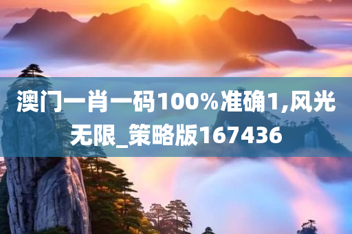 澳门一肖一码100%准确1,风光无限_策略版167436