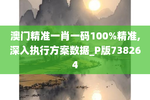 澳门精准一肖一码100%精准,深入执行方案数据_P版738264