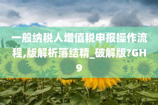 一般纳税人增值税申报操作流程,版解析落结精_破解版?GH9