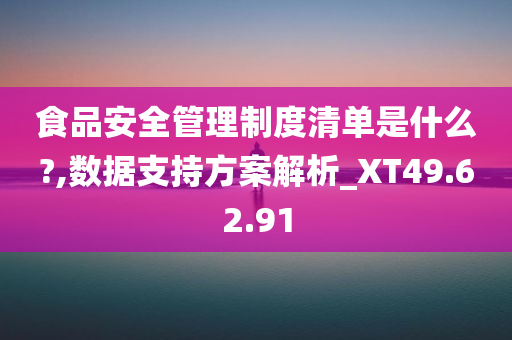 食品安全管理制度清单是什么?,数据支持方案解析_XT49.62.91