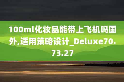 100ml化妆品能带上飞机吗国外,适用策略设计_Deluxe70.73.27