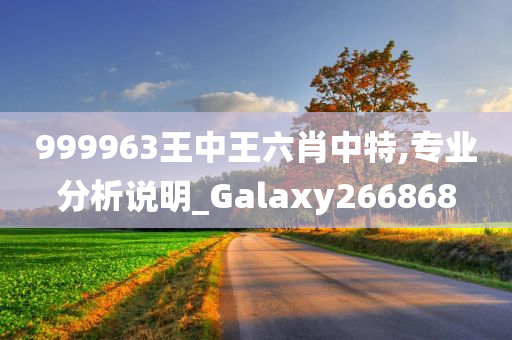 999963王中王六肖中特,专业分析说明_Galaxy266868