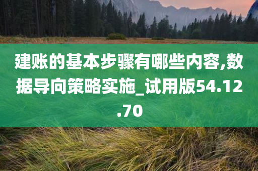 建账的基本步骤有哪些内容,数据导向策略实施_试用版54.12.70