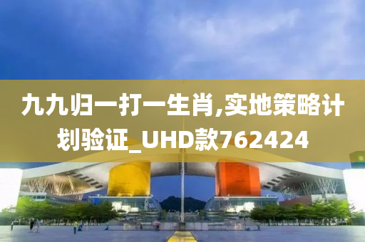 九九归一打一生肖,实地策略计划验证_UHD款762424