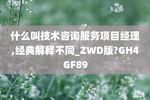 什么叫技术咨询服务项目经理,经典解释不同_ZWD版?GH4GF89