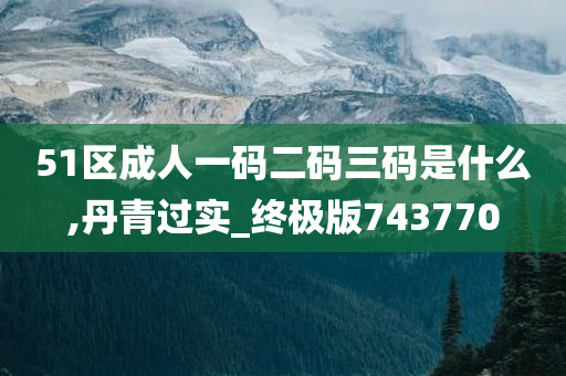 51区成人一码二码三码是什么,丹青过实_终极版743770