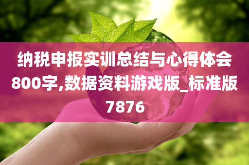 纳税申报实训总结与心得体会800字,数据资料游戏版_标准版7876