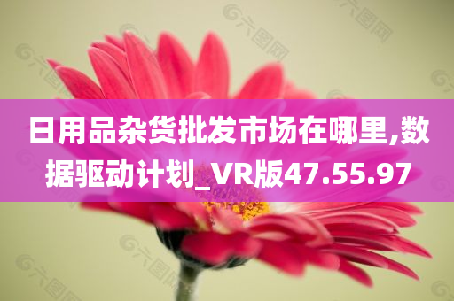 日用品杂货批发市场在哪里,数据驱动计划_VR版47.55.97