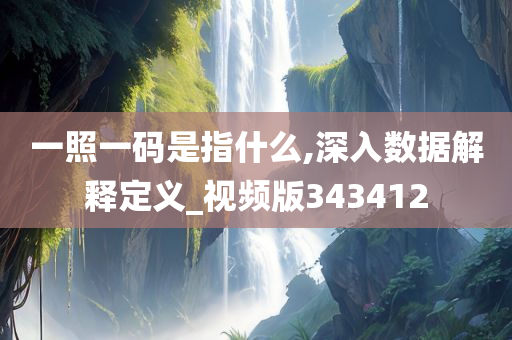 一照一码是指什么,深入数据解释定义_视频版343412