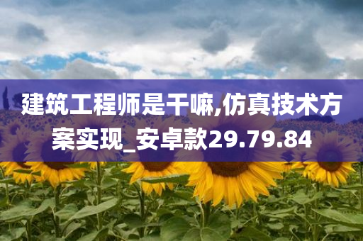 建筑工程师是干嘛,仿真技术方案实现_安卓款29.79.84