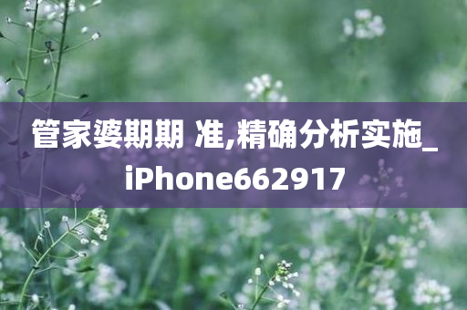 管家婆期期 准,精确分析实施_iPhone662917