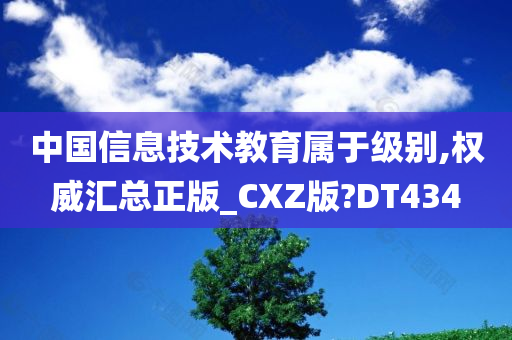 中国信息技术教育属于级别,权威汇总正版_CXZ版?DT434