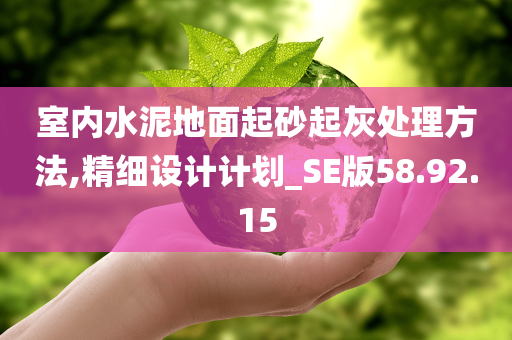 室内水泥地面起砂起灰处理方法,精细设计计划_SE版58.92.15