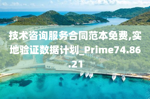 技术咨询服务合同范本免费,实地验证数据计划_Prime74.86.21