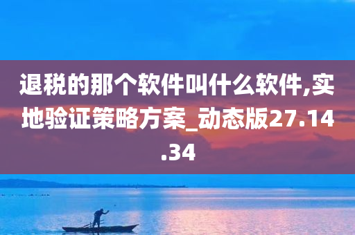 退税的那个软件叫什么软件,实地验证策略方案_动态版27.14.34