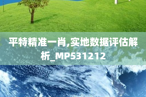 平特精准一肖,实地数据评估解析_MP531212