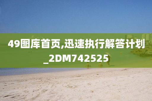 49图库首页,迅速执行解答计划_2DM742525