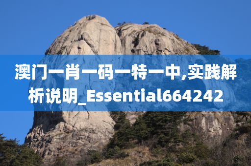 澳门一肖一码一特一中,实践解析说明_Essential664242