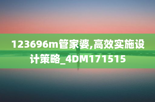 123696m管家婆,高效实施设计策略_4DM171515