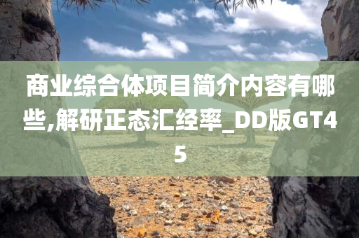 商业综合体项目简介内容有哪些,解研正态汇经率_DD版GT45