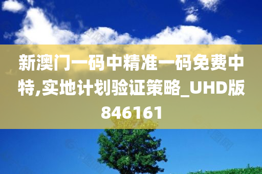 新澳门一码中精准一码免费中特,实地计划验证策略_UHD版846161