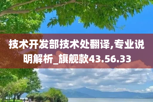 技术开发部技术处翻译,专业说明解析_旗舰款43.56.33