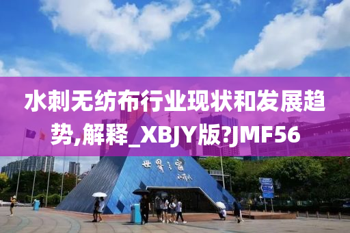 水刺无纺布行业现状和发展趋势,解释_XBJY版?JMF56