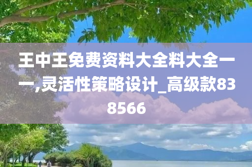 王中王免费资料大全料大全一一,灵活性策略设计_高级款838566