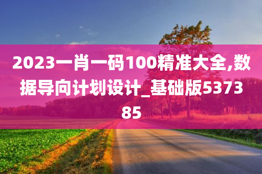 2023一肖一码100精准大全,数据导向计划设计_基础版537385