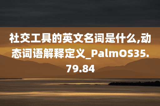 社交工具的英文名词是什么,动态词语解释定义_PalmOS35.79.84