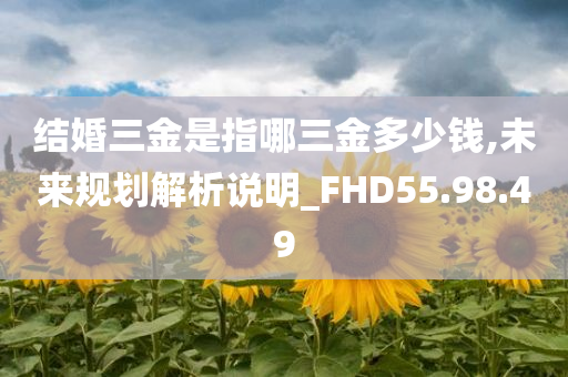 结婚三金是指哪三金多少钱,未来规划解析说明_FHD55.98.49