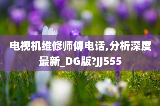 电视机维修师傅电话,分析深度最新_DG版?JJ555